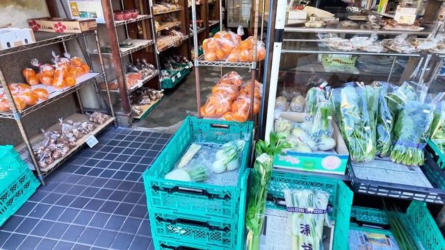 [EP.3] Osaka to Tokyo 10 Days 7 Hotels | Fujinomiya 1 Night [Vlog] смотреть онлайн