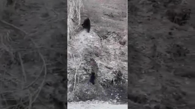 Майзас Междуреченск смотреть онлайн