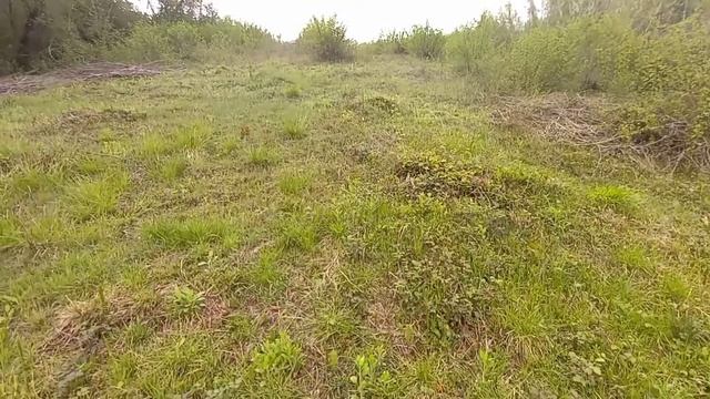 Участок. Вторая часть видео. Краево-Армянское. Сочи. смотреть онлайн