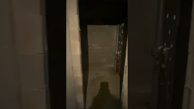 Квартира-студия: г. Санкт-Петербург, п. Шушары, ул. Школьная, д. 9 (продажа) смотреть онлайн