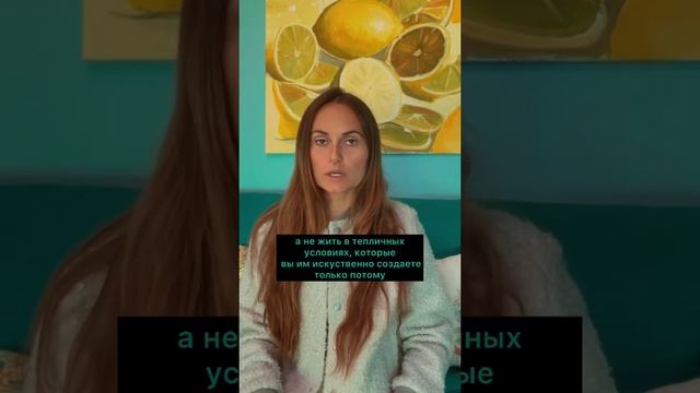 Признавайте за детьми право на ошибку. #психология #дети смотреть онлайн