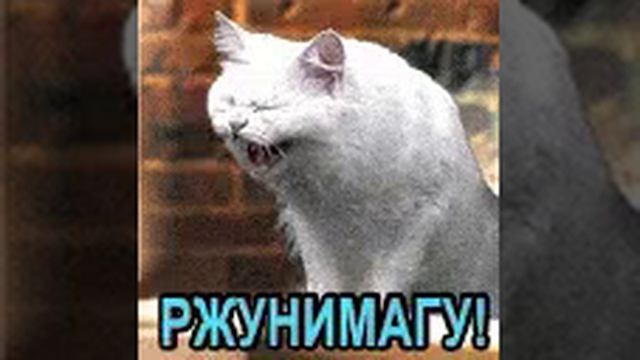 это моё первое видео))) как научиться стоять на руках)почти на руки смотреть онлайн