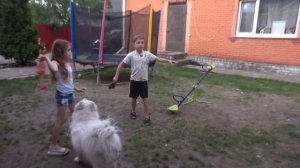 VLOG Ищем Мурку. Надежды всё меньше. Но я не сдаюсь