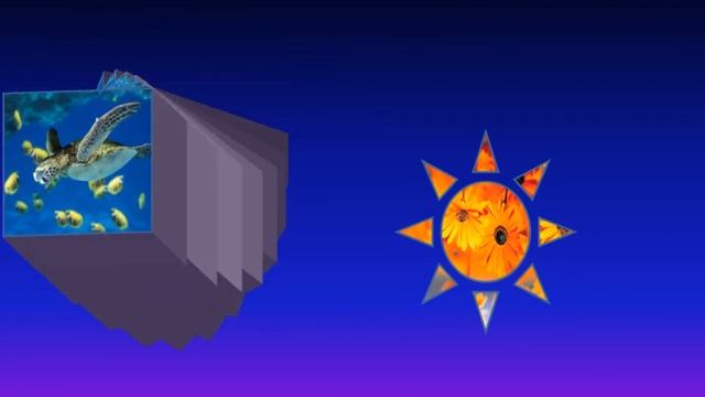 3D rotatie varianten смотреть онлайн