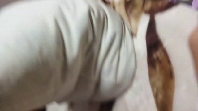 Обзор на грипсы Ethic Slim Purple🟣