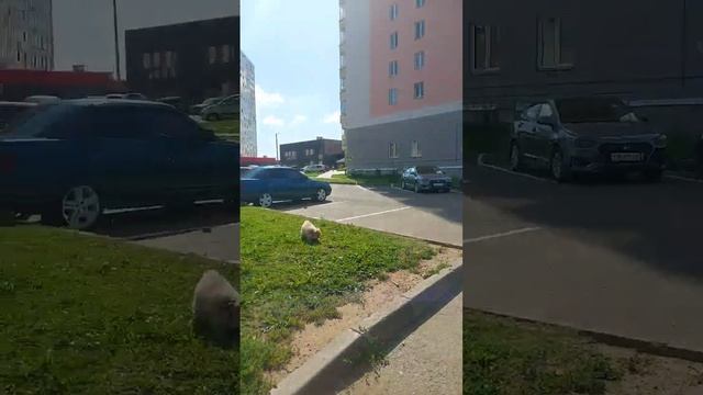 Район Кирова смотреть онлайн