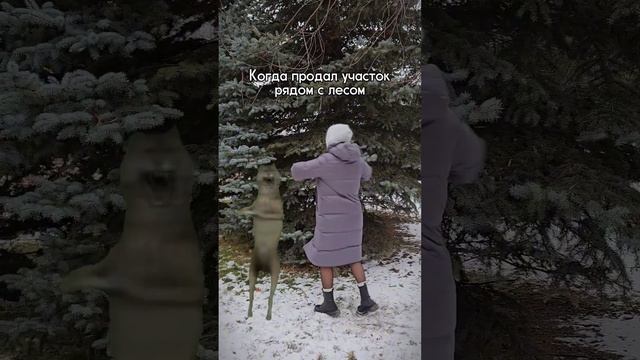 Риелтора, как и волка - ноги кормят! www.sova72.ru 🦉#риелтор #недвижимость #тюмень #волк #юмор смотреть онлайн