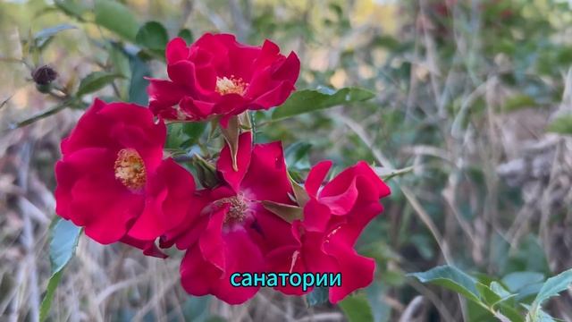 Жена вернулась домой раньше, не предупредив мужа. Но главный сюрприз ждал ее впереди… смотреть онлайн