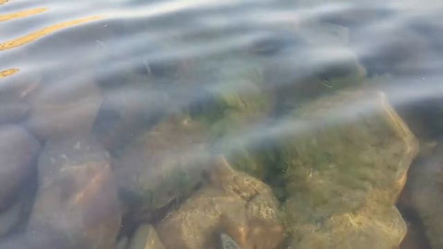 Анапа в мире подводного царства😁👍 смотреть онлайн