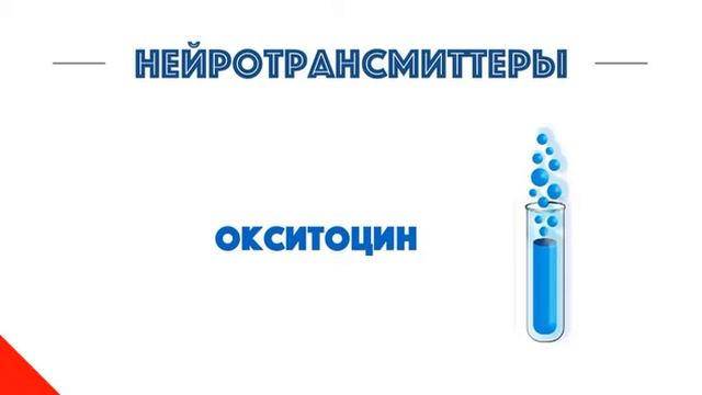 Нейрософия Инструменты управления мозгом смотреть онлайн
