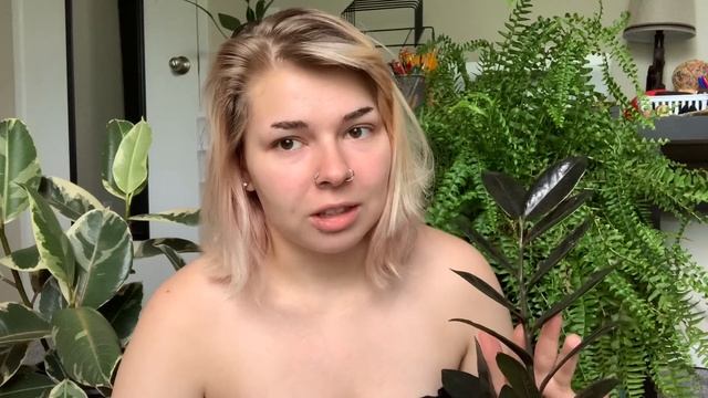 Top 5 Houseplants For College Dorm Rooms/ Apartments! смотреть онлайн