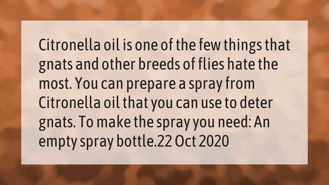 How do you get rid of swarms of gnats? смотреть онлайн