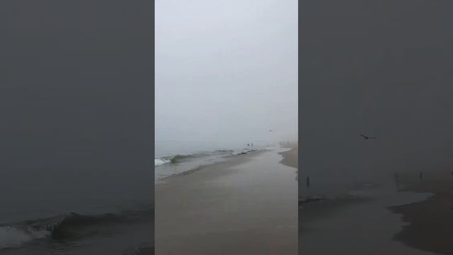 🇺🇸🤡🐬 Санта-Барбара, новый микрофон 🙃❤️🥰 смотреть онлайн