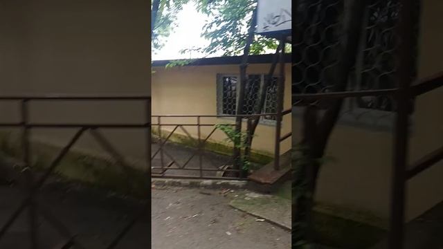 коммерческая недвижимость в центральной районе Сочи смотреть онлайн