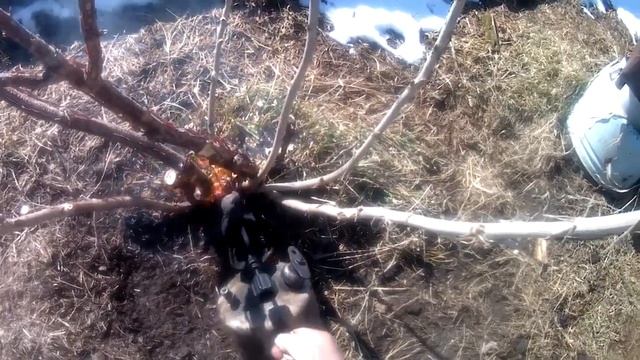 Варвар в огороде . №212. смотреть онлайн
