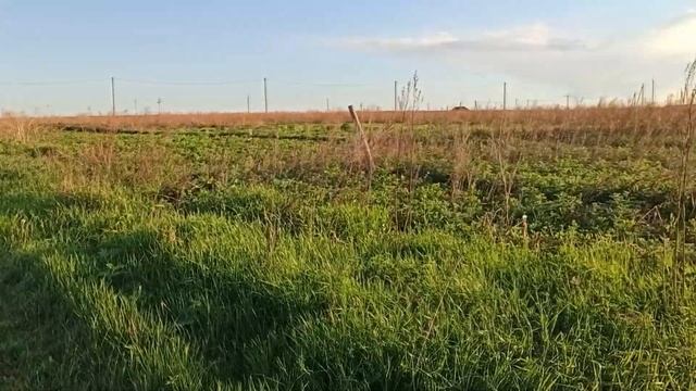 КРАСОТА РЯДОМ С НАМИ, ЕЕ НАДО ПРОСТО ОЦЕНИТЬ смотреть онлайн