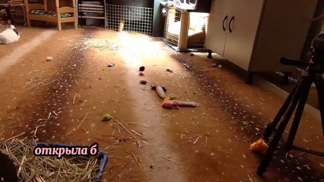 Жизненные истории Квартира Истории из жизни смотреть онлайн