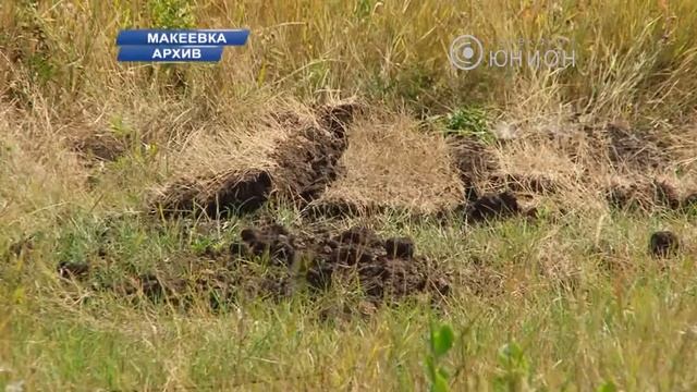 Начали строительство тренировочной базы к ЕвроБаскету-2015