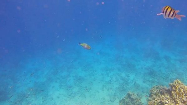 🇪🇬ДЕШЕВЛЕ 4* НЕТ / ЧТО НАС ЖДЕТ ⁉️ TIVOLI HOTEL & Aqua Park / Свежий честный обзор /