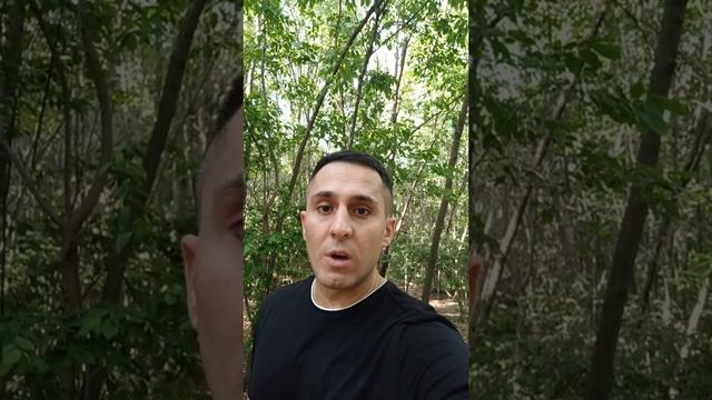 Стихотворение смотреть онлайн
