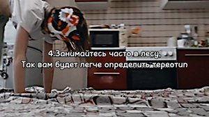 |Как понять свой тереотип?| #рек #квадробика #териан #Рекомендации