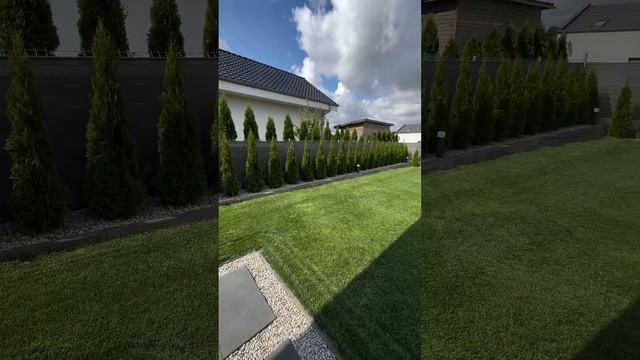 Благоустройство и Озеленение придомовой территории 