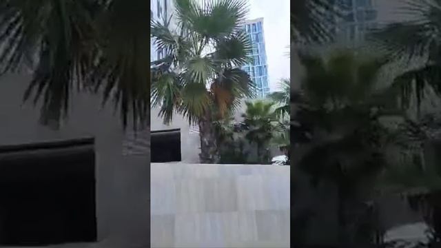 Квартиры в ЖК Сочи Парк от 7.3. млн.р. смотреть онлайн