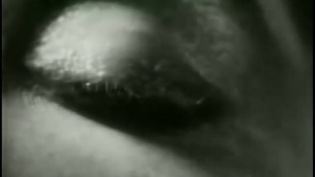 Meaning and Transcendence: Roland Barthes' The Pleasure of the Text - Video Essay смотреть онлайн