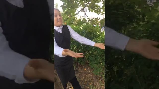 Видео про сказку изумрудный город прикол смотреть онлайн