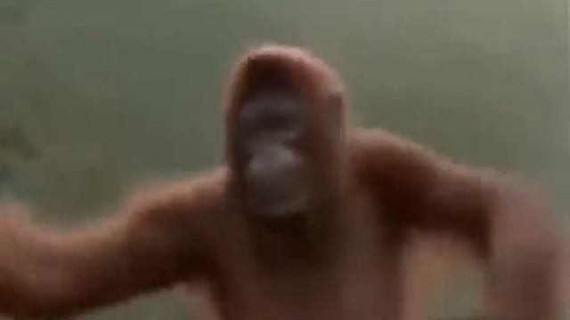 Крутая обезьянка 😊 смотреть онлайн