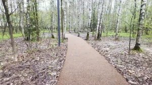 Как ты собралась жить в своей квартире, если я ее уже сдала в аренду?! Рассмеялась свекровь.