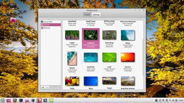 Linux Mint 20 Ulyana with Cinamon desktop | linux user friendly simple and fast смотреть онлайн
