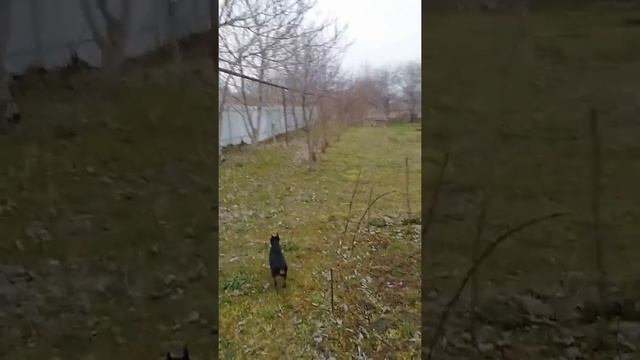 Переезд на юг. Первые дни на новом месте. смотреть онлайн