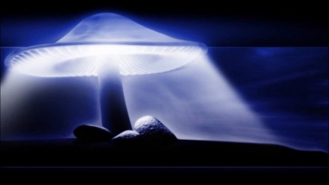 Deep Happy Mushroom Trip mix/ Relaxing Music / Sounds of Nature / Psychill / Downtempo смотреть онлайн