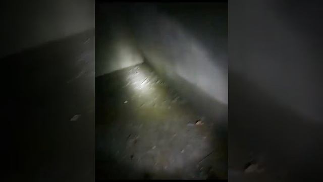 подвалы ПИК застройщик тонут г...е и м..е