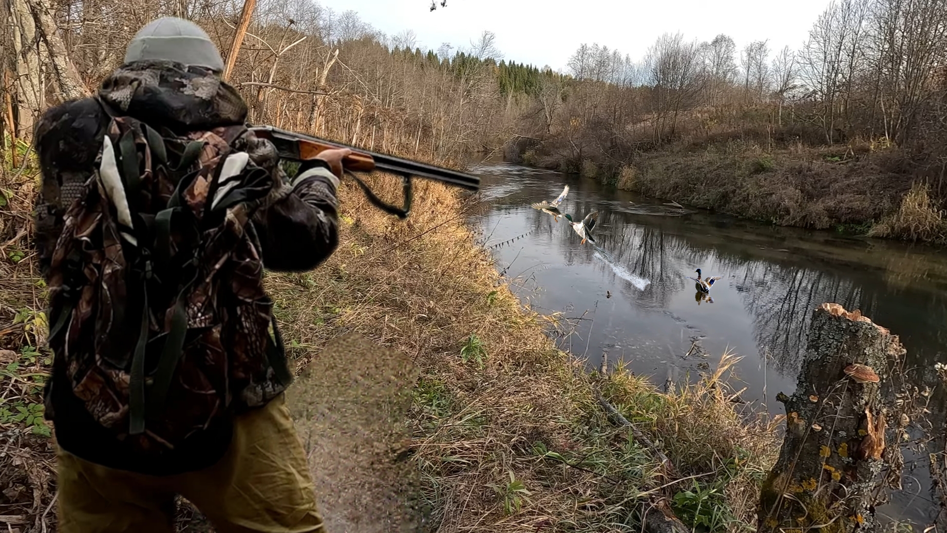 ОХОТА НА УТКУ С ПОДХОДА! ЧЁТКИЙ ВЫСТРЕЛ!!! смотреть онлайн