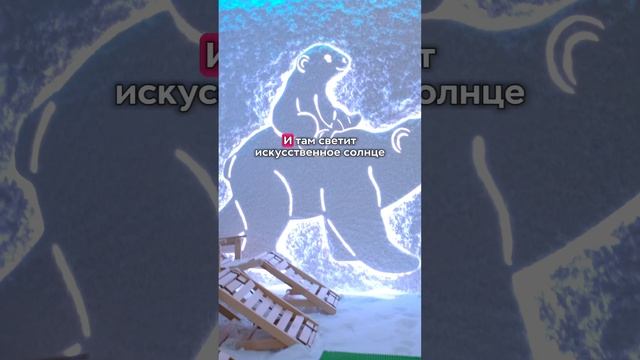 В этом петербургском детсаду круглый год светит солнце! #shortsvideo #shortvideo смотреть онлайн