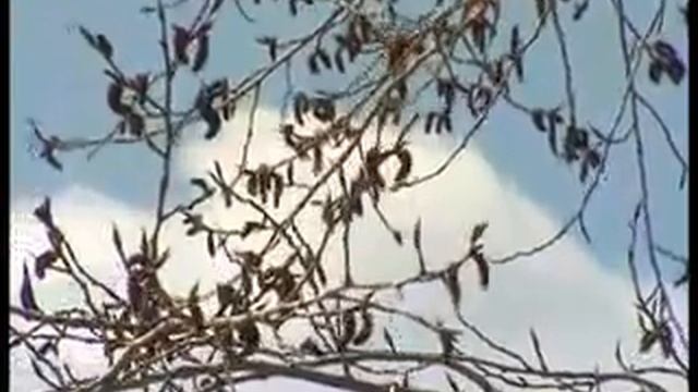 Штормовое смотреть онлайн