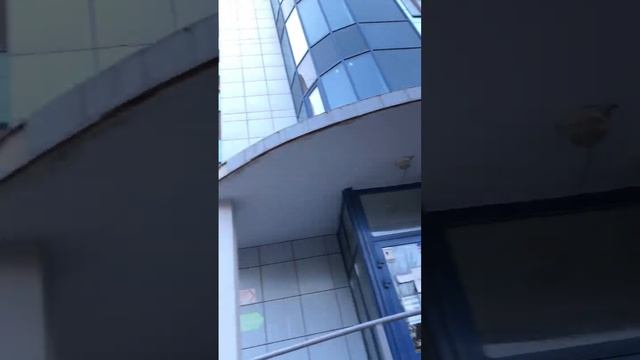 Самара город контрастов.улица Полевая. смотреть онлайн