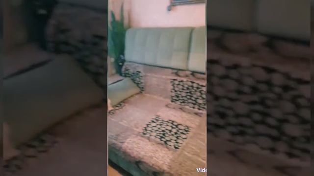 Продаю свою комнату Мармеладный дом) #рекомендации #ефремов #trend #продажа #2023 #недвижимость смотреть онлайн