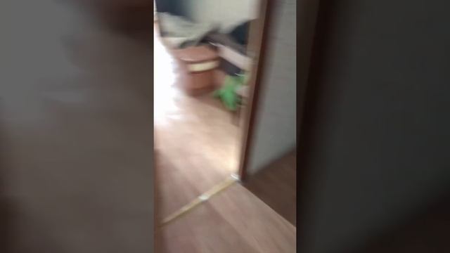 Квартира, после обработки от клопов, помповым опрыскивателем. 89162363434 Круглосуточно смотреть онлайн