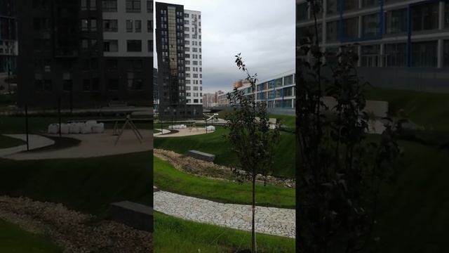 Линейный парк в ЖК Скандинавия 18.08.2019 смотреть онлайн
