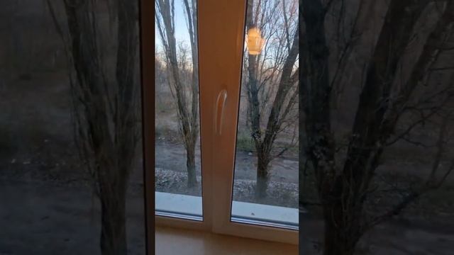 Продаю 1 комнатную квартиру, СЕМАШКО