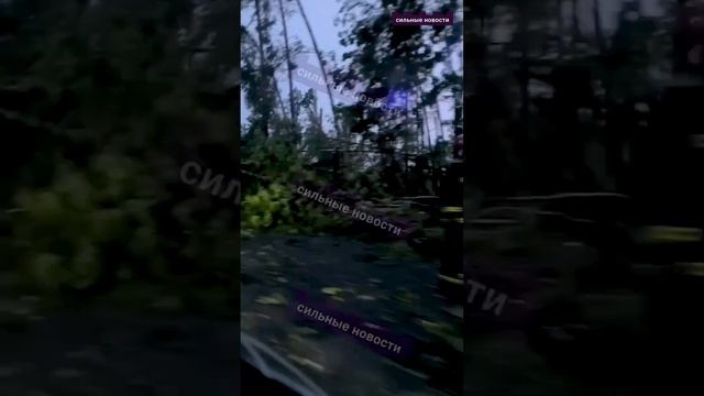 Что натворил ураган в Беларуси смотреть онлайн