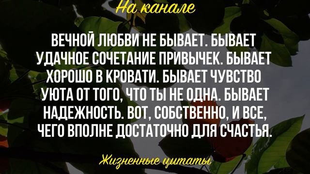 ПРАВДИВЫЕ ЖИЗНЕННЫЕ ЦИТАТЫ | Которые Стоит Знать КАЖДОМУ #цитаты #жизнь смотреть онлайн