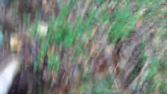 КОПАЕМ МЕТАЛЛ В ЛЕСУ. Коп Металлолома!! смотреть онлайн