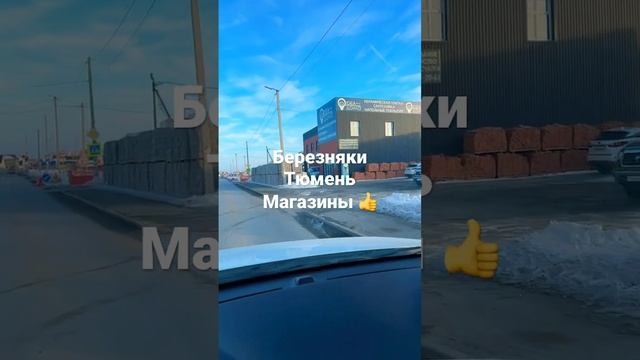 Березняки Тюмень инфраструктура #загороднаянедвижимость #купитьдомвтюмени #купитьдом #тюмень смотреть онлайн