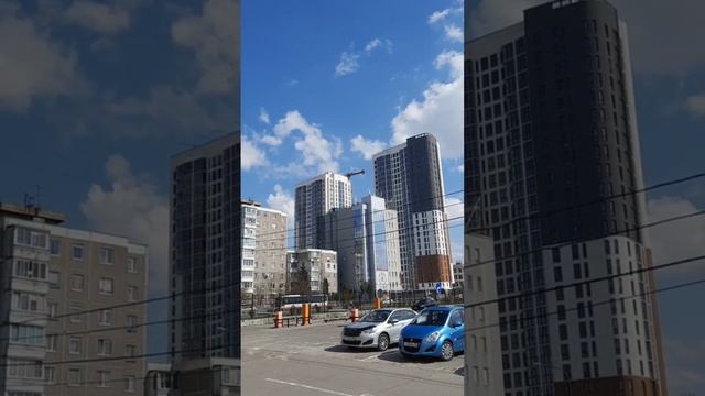 Сельма Калининград смотреть онлайн