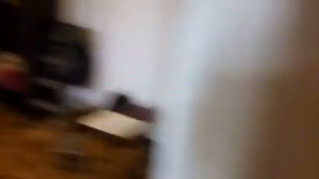 Сдам квартиру Можайское шоссе 11 смотреть онлайн