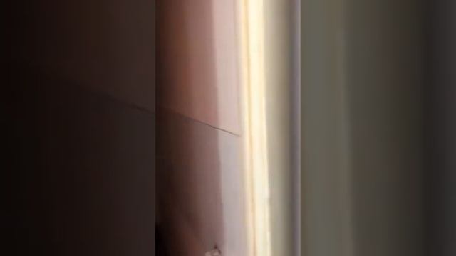 77124 цветной бульвар, д. 34, стр. 1 смотреть онлайн